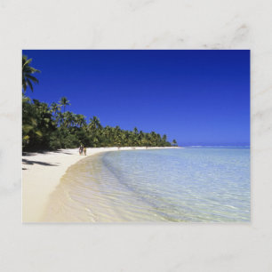Palm lined beach Cook Islands 8 Postcard
