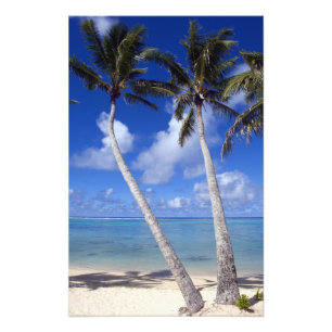 Palm lined beach Cook Islands Photo Print
