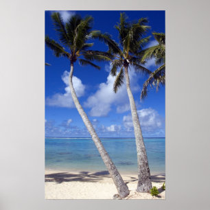 Palm lined beach Cook Islands Poster