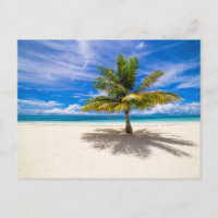 Palm on White Sand Beach