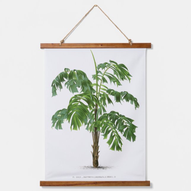 Palm Print -Pieter Joseph de Pannemaeker 1832-1904 Hanging Tapestry (Front)