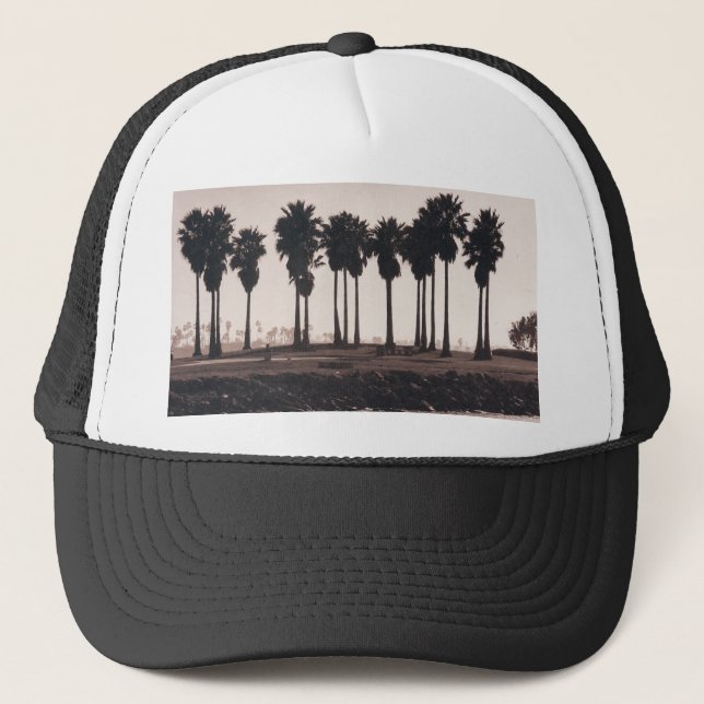 Palm Silhouettes Trucker Hat (Front)