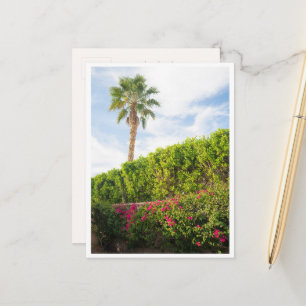 Palm Springs Desert Florals & Palm Tree Postcard