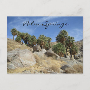 Palm Springs Postcard