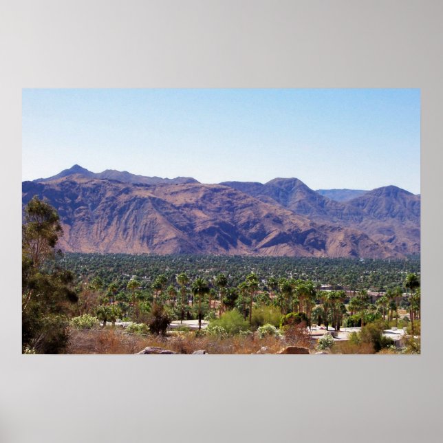 palm springs poster (Front)