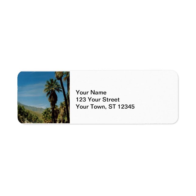 Palm Springs View (Front)