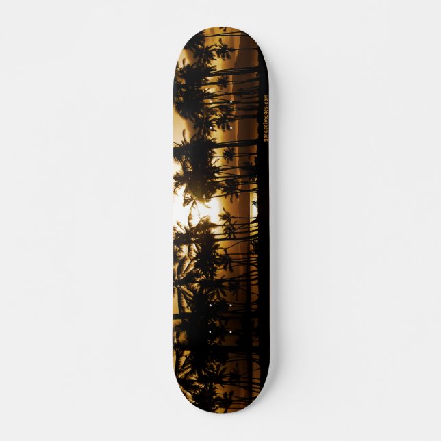 Palm Sunset Skateboard (Front)