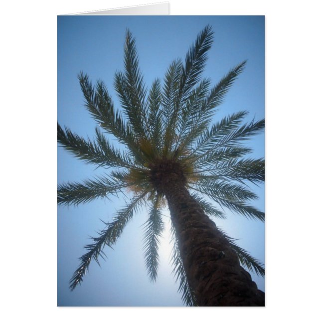 PALM TREE (Front)
