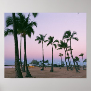 Palm Tree 2 Poster