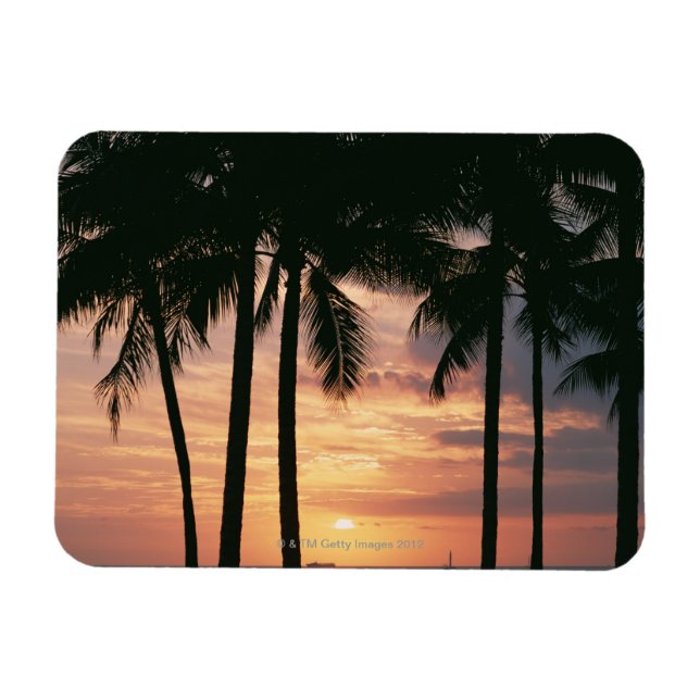 Palm Tree 3 Magnet (Horizontal)
