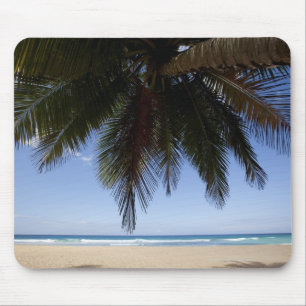 Palm tree along Caribbean Sea. Mouse Pad