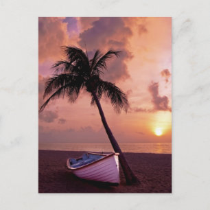Palm Tree and Boat Beach Sunset Holiday Postcard