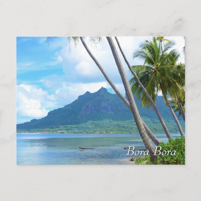 Palm tree and mountain in Bora Bora  Postcard (Front)