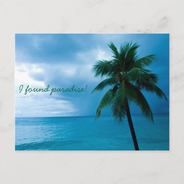 palm tree and ocean postcard (Front)