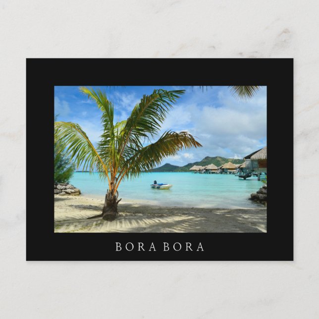 Palm tree and overwater resort black postcard (Front)