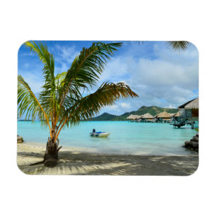 Palm tree and overwater resort rectangle magnet