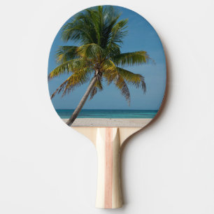 Palm tree and white sand beach 2 ping pong paddle