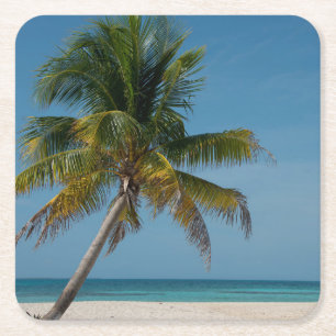 Palm tree and white sand beach  2 square paper coaster