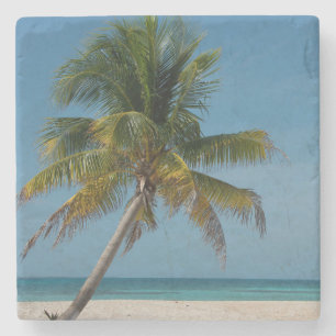 Palm tree and white sand beach  2 stone coaster