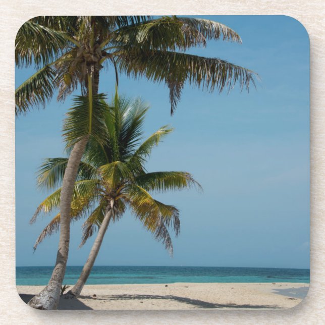 Palm tree and white sand beach coaster (Front)