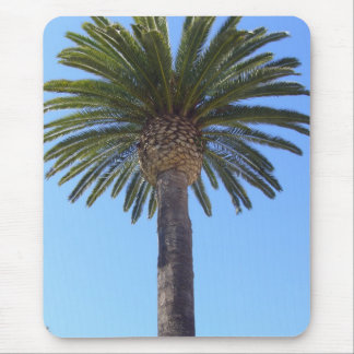 Palm Tree at San Diego, CA Mouse Pad