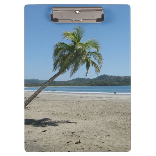 Palm Tree at the Beach Clipboard (Front)