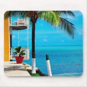 Palm Tree At The Front Yard Of A House By The Sea Mouse Pad