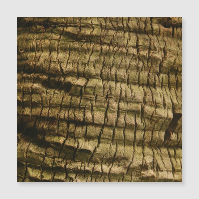 Palm Tree Bark (Front)