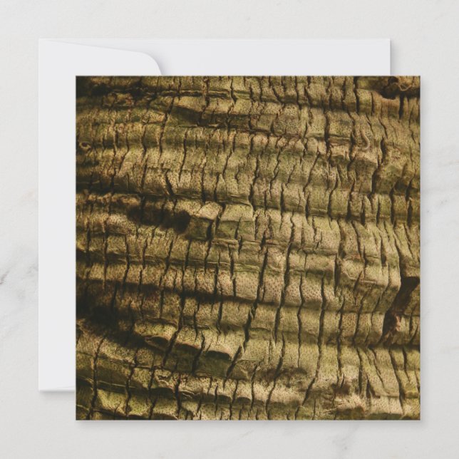 Palm Tree Bark Holiday Card (Front)