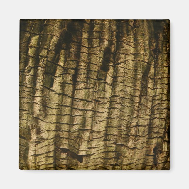 Palm Tree Bark Magnet (Front)