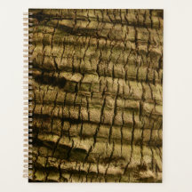 Palm Tree Bark