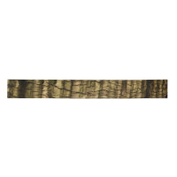Palm Tree Bark