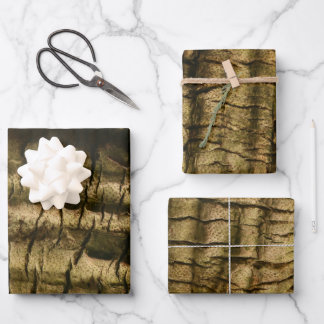 Palm Tree Bark Wrapping Paper Sheet