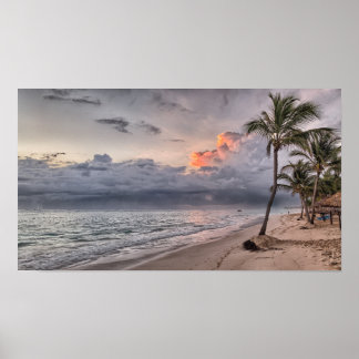 Palm Tree Beach Tropical Island Poster