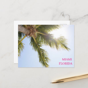 Palm Tree Blue Sky Miami Florida Travel Postcard