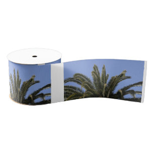 Palm Tree Blue Sky Tropical Grosgrain Ribbon