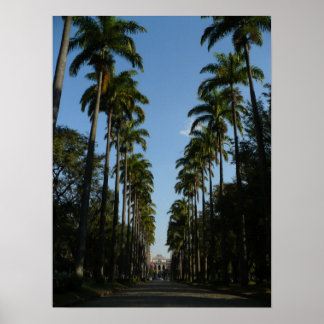 Palm Tree Boulevard Poster