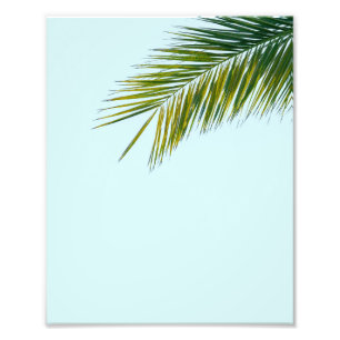 Palm tree branch photo print