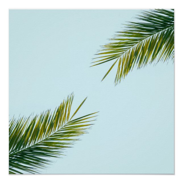 Palm tree branch poster (Front)