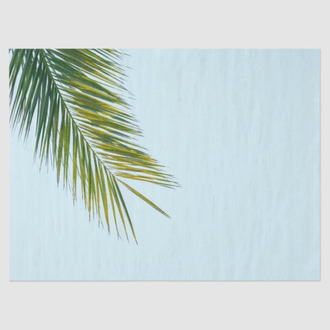 Palm tree branch tissue paper (Front)