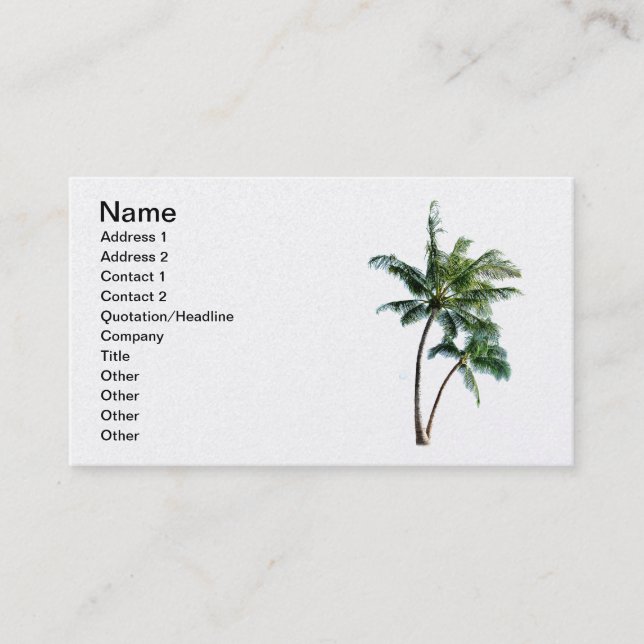 Palm Tree Business Card (Front)