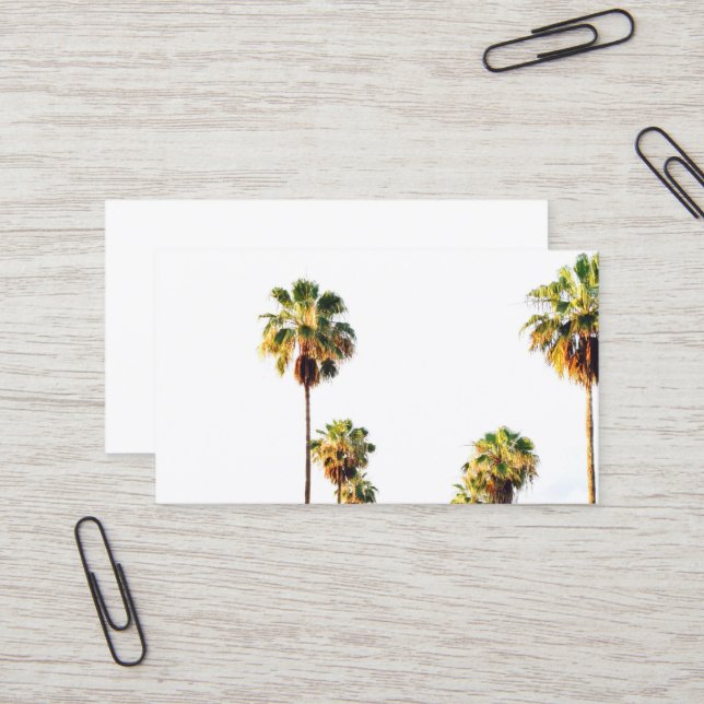 Palm Tree Business Card (Front/Back In Situ)