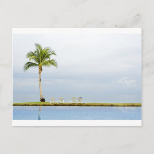 Palm tree by a swimming pool postcard
