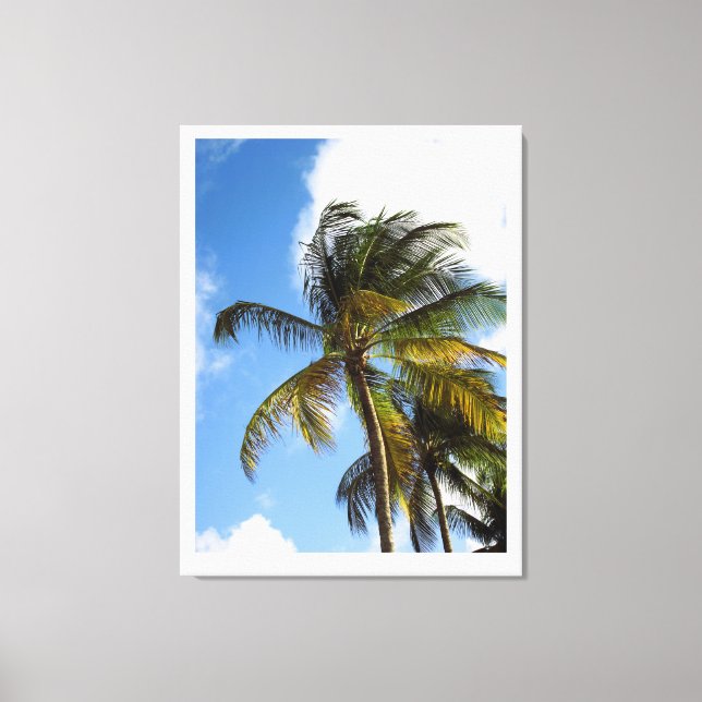 Palm tree canvas print (Front)