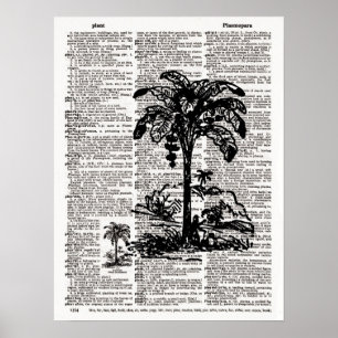 Palm Tree Dictionary Art Poster