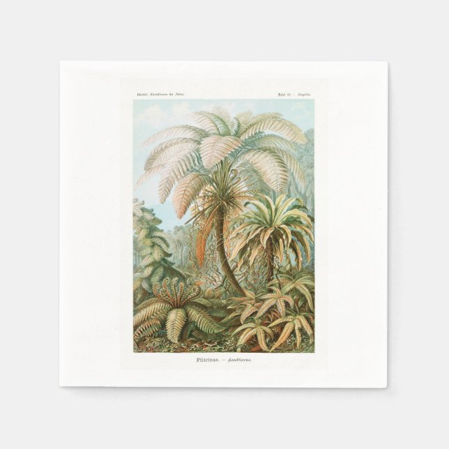 Palm Tree Ernst Haeckel    Napkin (Front)