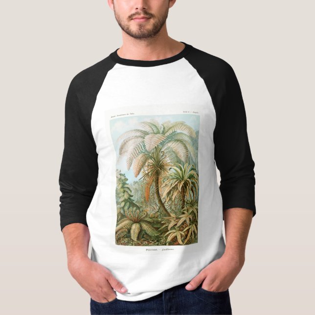 Palm Tree Ernst Haeckel    T-Shirt (Front)