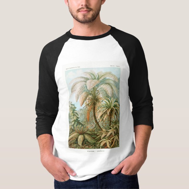 Palm Tree Ernst Haeckel    T-Shirt (Front)
