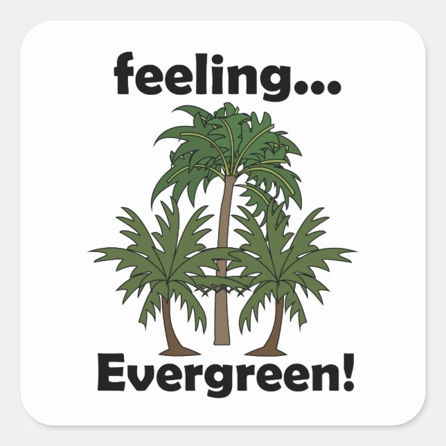 Palm Tree Feeling Evergreen Tropical Funny Square Sticker (Front)
