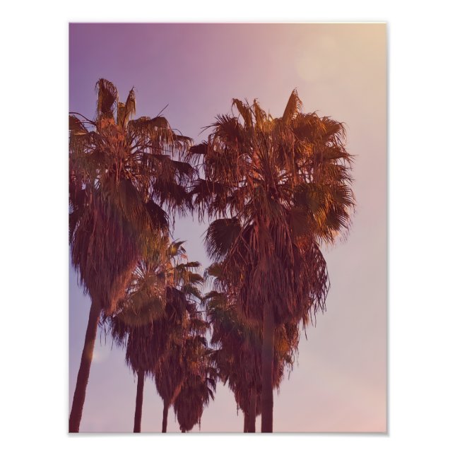 Palm Tree Heart Photo Print (Front)